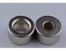 Diametrically Magnetized Ring Magnet 